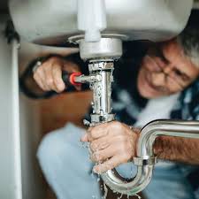 Best Garbage Disposal Repair and Installation  in Pinckneyvle, IL